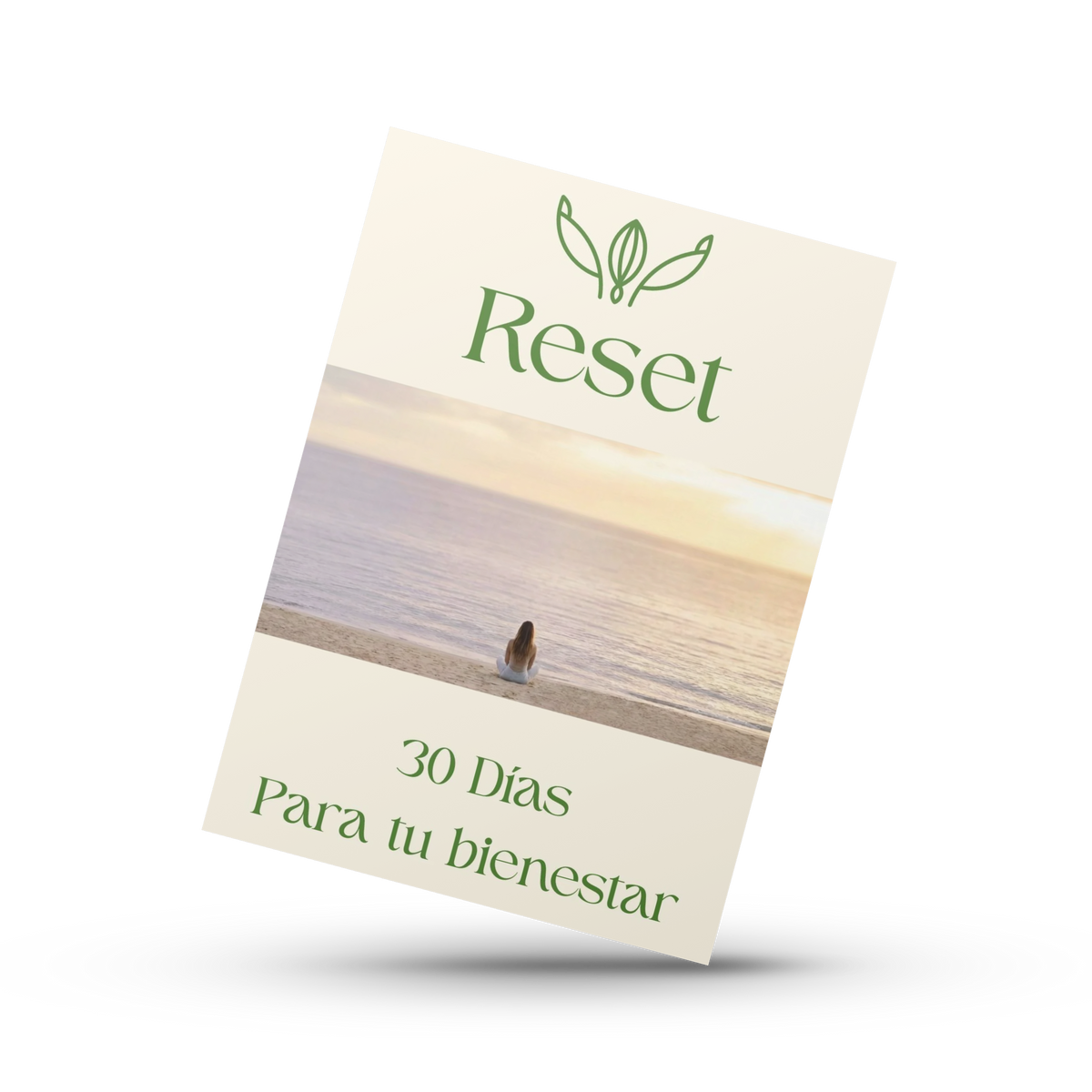 Reset - 30 días para volver a vos